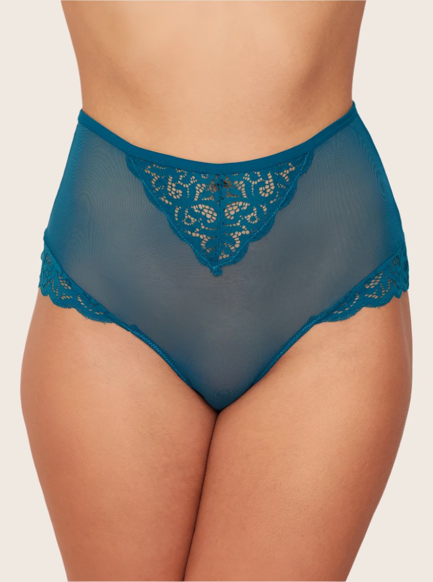 Bellatrix brief in coral blue full coverage brief